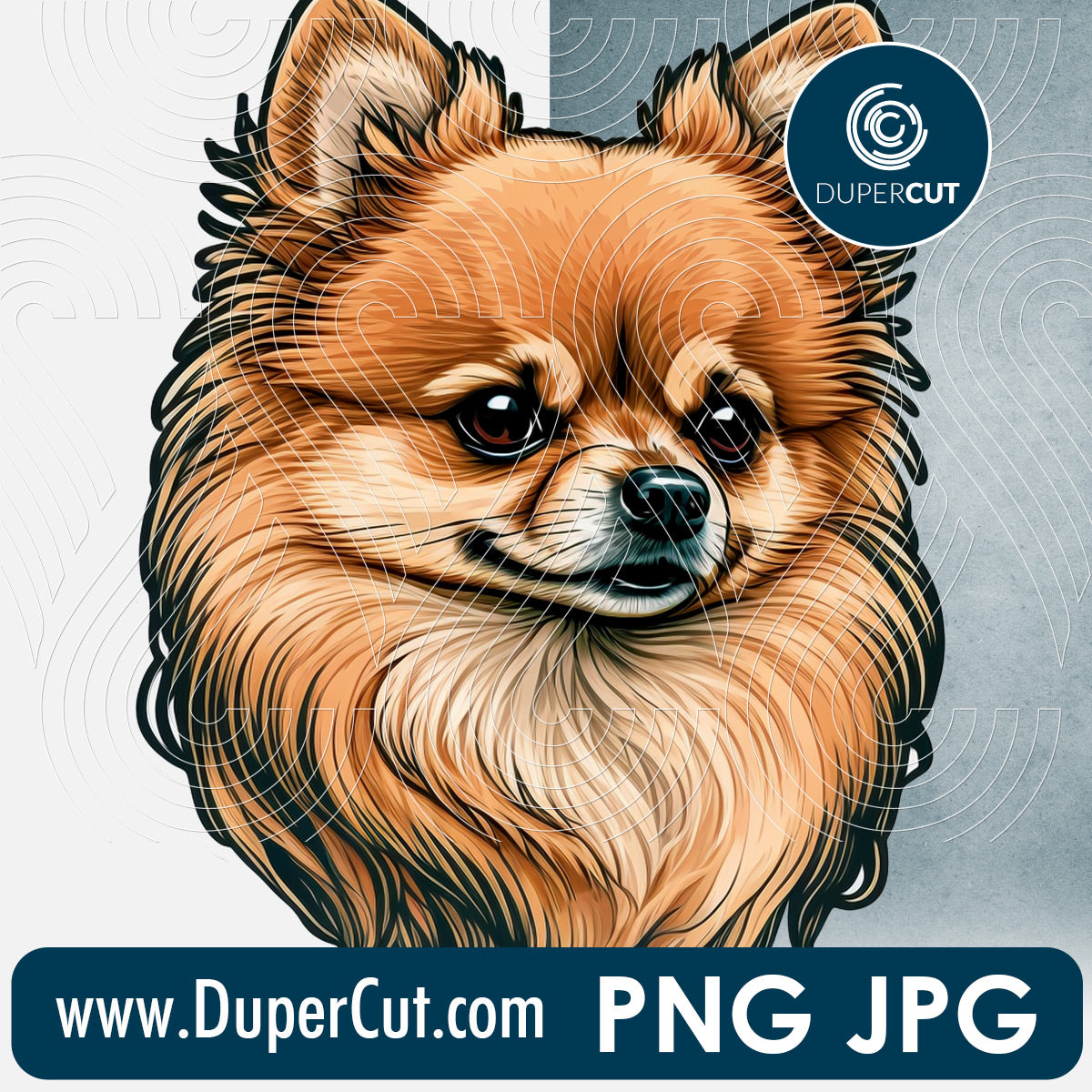 Pomeranian dog breed high resolution template - JPG PNG sublimation files transparent background by www.DuperCut.com