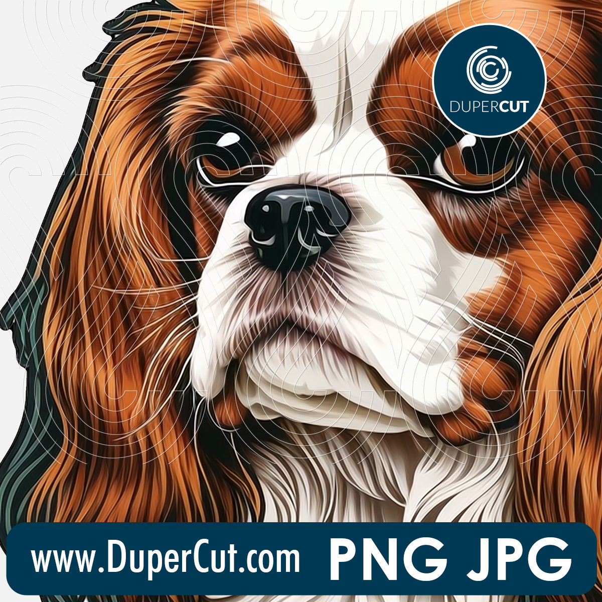 Cavalier king charles spaniel dog breed - JPG PNG file transparent background, high res pattern for sublimation, print on demand by www.dupercut.com
