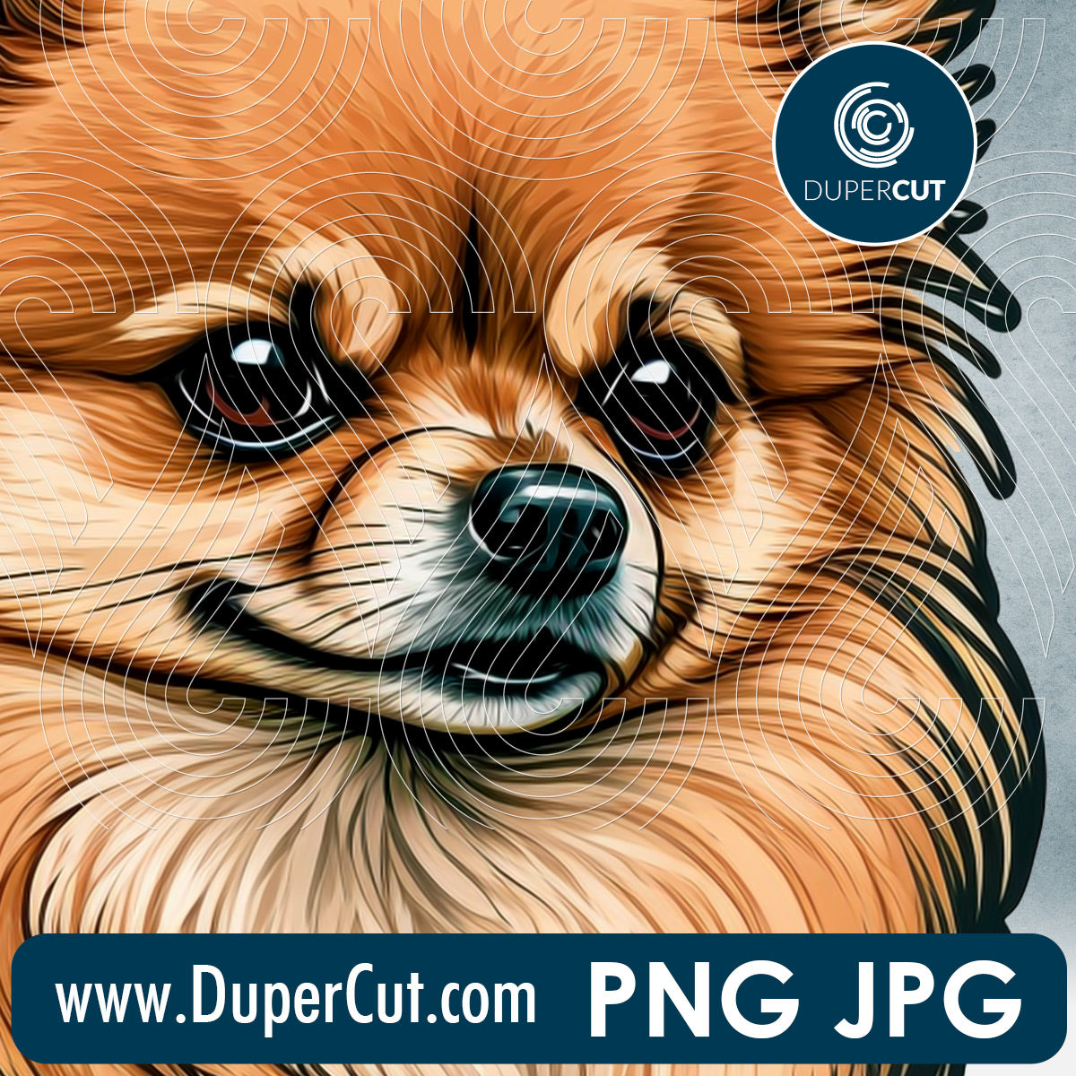Pomeranian dog breed high resolution template - JPG PNG sublimation files transparent background by www.DuperCut.com