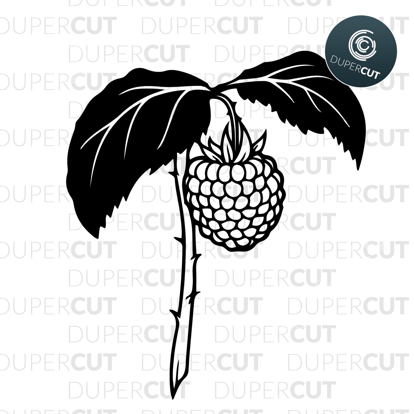 Raspberry silhouette Free SVG PNG DXF cutting files for Cricut, Silhouette, Glowforge, print on demand, sublimation templates